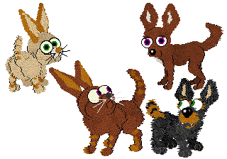 petz 5 rabbit