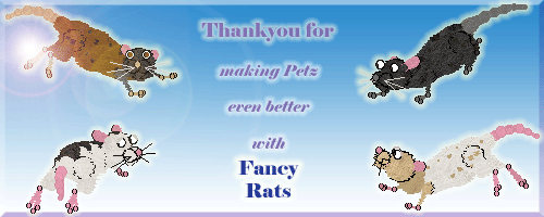 Rattiness gift