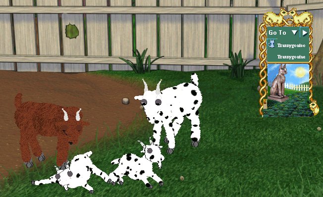 petz 5 online petz 5 online