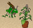 small-guys Grasshopper