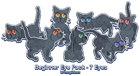 Beginner Eye Pack