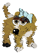 Gator