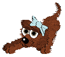 Muskrat
