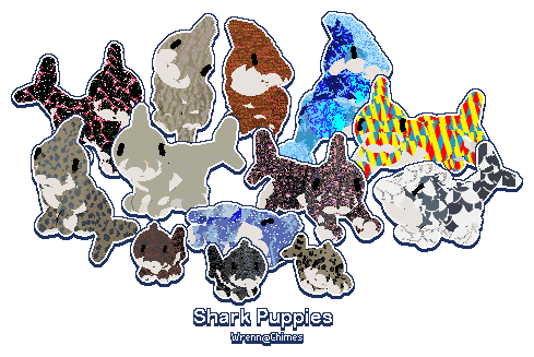 Shark Pups