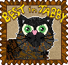 Best in Tabby