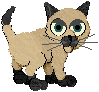 siamese03.gif (2629 bytes)