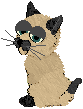 siamese02.gif (2210 bytes)