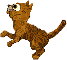 tabby02.gif (3967 bytes)