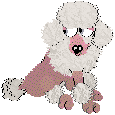 poodle02.gif (3501 bytes)