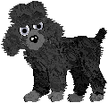 poodle05.gif (4025 bytes)