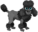 poodle08.gif (5130 bytes)