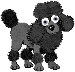 poodle09.gif (3769 bytes)