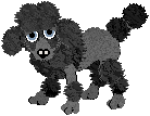 poodle03.gif (4317 bytes)